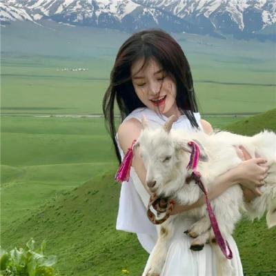 绯闻计划